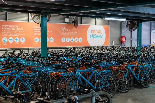 Bikes lined up ready to be hired at Pedal & Flipper Hire